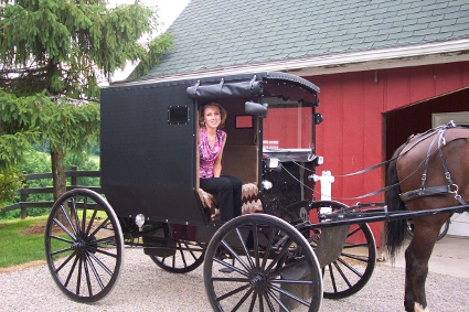 Amish buggy